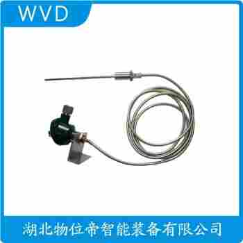 鉑銠熱電阻 WZP2-01T WVD