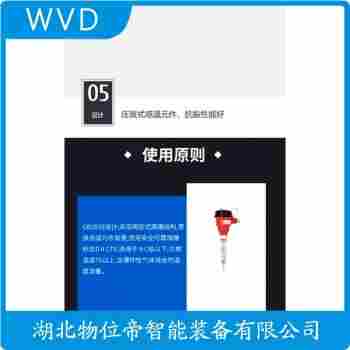 鎧裝熱電阻 WZPM2-002 WVD