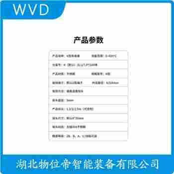 鉑銠熱電阻 WZP2-012T WVD