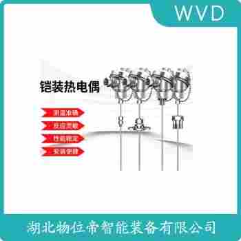 鉑銠熱電阻 WZPK-463 WVD