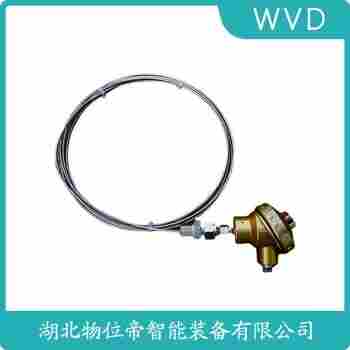 鉑銠熱電阻 WZP2-221功能特點
