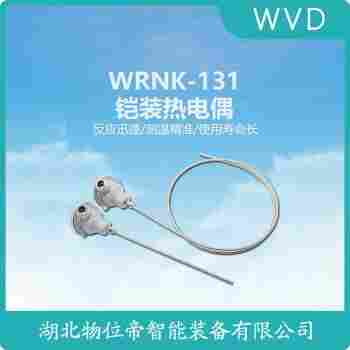 鉑銠熱電阻 WZPK-406 WVD