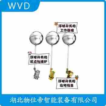 SXFQ-L1200K 浮球液位計 WVD