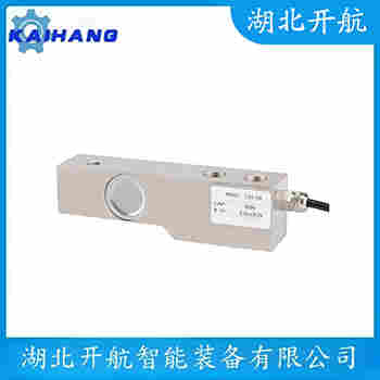 稱重傳感器 ZSG-SS-15t 開航