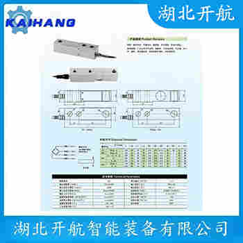稱重傳感器 SBSZ-250kg 開航