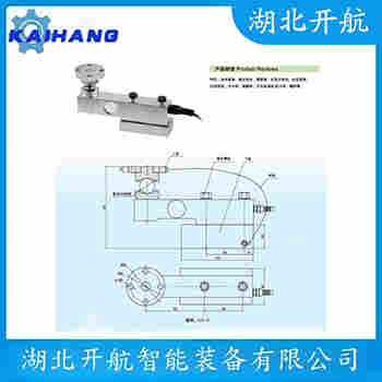 稱重傳感器 BC-P-300L 開航