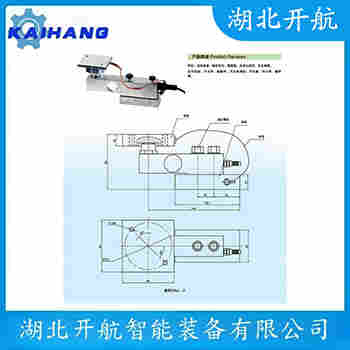 稱重傳感器 ZSGB-A-10t 開(kāi)航