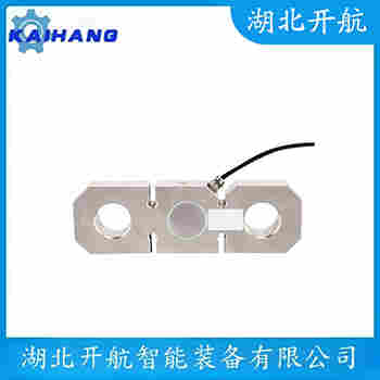 稱重傳感器 ZSGB-SS-20t 開航