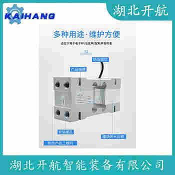 稱重傳感器 ZSC-ASS-20t 開航