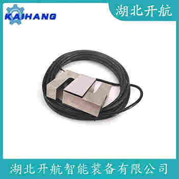 稱重傳感器 ZSGB-SS-50t 開航