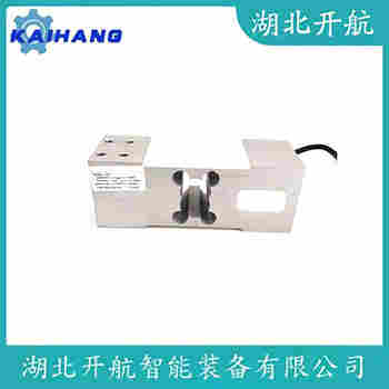 稱重傳感器 ZSG-SS-40t 開航