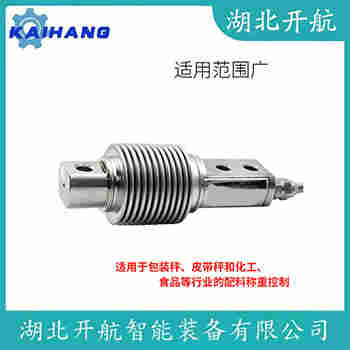 稱重傳感器 ZSG-SS-40t 開航