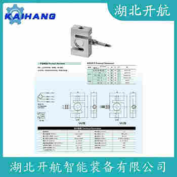 稱重傳感器 ZSG-SS-25t 開航