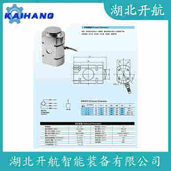FL-CTM-10t 稱重傳感器應用案例