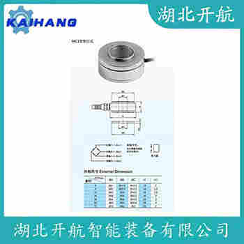 稱重傳感器 BTW-10t 開航