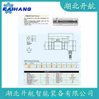 稱重傳感器 ZSKB-30t 開航