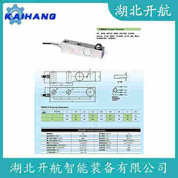 稱重傳感器 ZSGB-A-10t 開航