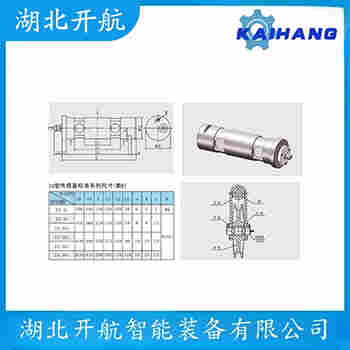 稱重傳感器 ZSP-A-100t 開航