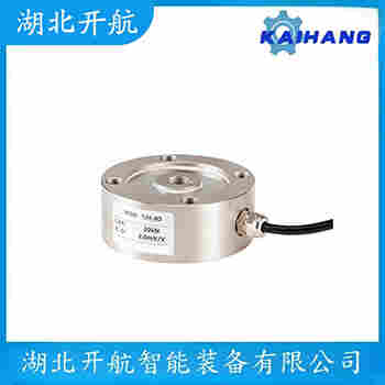 稱重傳感器 ZSE-A-40t 開航