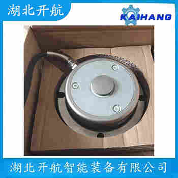 稱重傳感器 ZSG-SS-40t 開航