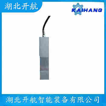 稱重傳感器 ZSF-SS-40t 開航