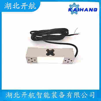 稱重傳感器 ZSJ-ASS-90t 開航