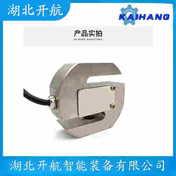 稱重傳感器 ZSGB-SS-50t 開航