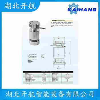 稱重傳感器 ZSJB-A-60t 開航