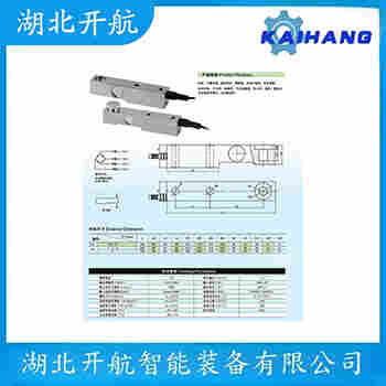 稱重傳感器 ZSG-SS-40t 開航