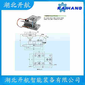 稱重傳感器 HSX-A500kg 開航