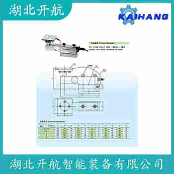 稱重傳感器 ZSF-SS-20t 開航