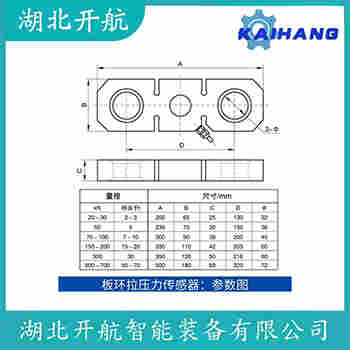 稱重傳感器 WBK-D-30tf 開航