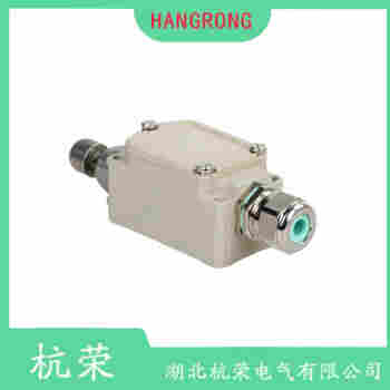 YBLX-P1/120/1B 叉形擺臂型行程開關(guān)測定意義