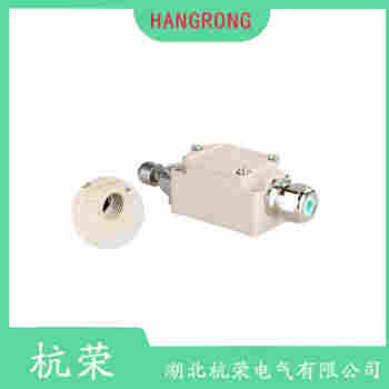 TZ-8122 可調(diào)鐵桿型行程開(kāi)關(guān)選擇要點(diǎn)