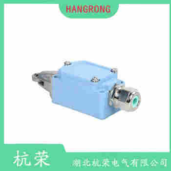 TZ-1GV 行程開關(guān)維護建議