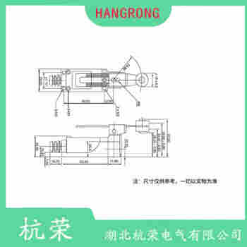 CZ-3104 叉形擺臂型行程開(kāi)關(guān)功能特點(diǎn)