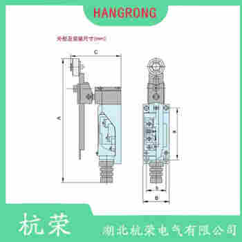 LS-11S 叉形擺臂型行程開關(guān)測定意義