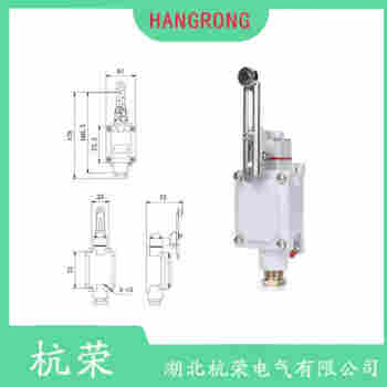 WLCA2-8TH-N 滾輪擺臂型行程開關(guān)工作原理
