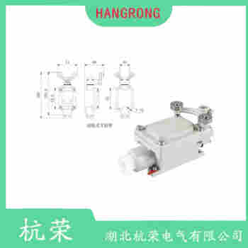 LX19-111B 叉形擺臂型行程開關(guān)測(cè)定意義
