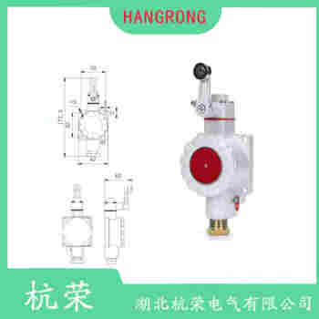 XTX-LX31 滾輪擺臂型行程開關接線說明