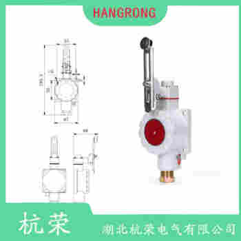 LXP1-120/1VA 行程限位開關(guān)應(yīng)用案例