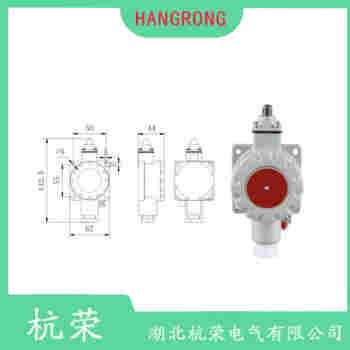 TR422-10Y 滾輪擺臂型行程開關(guān)參數(shù)規(guī)格