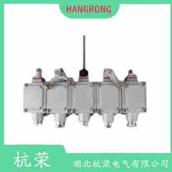 LX44-40A 叉形擺臂型行程開關功能特點