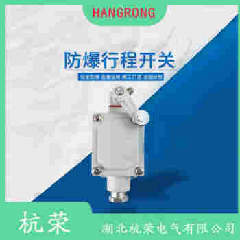 G50-035M22-2281-2 叉形擺臂型行程開關(guān)測(cè)定意義