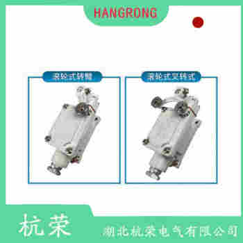 LS31P11D11 可調(diào)鐵桿型行程開關(guān)選擇要點