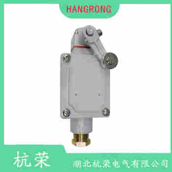 ZR335-02Z-M20-RMS 行程開關維護建議