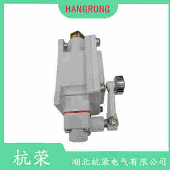 ZV12H235-11Z 行程開關維護建議