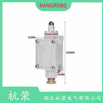 TZ-1GV 行程開關(guān)維護建議