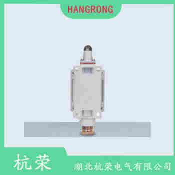 叉形擺臂型行程開關 LXK3-20St 杭榮