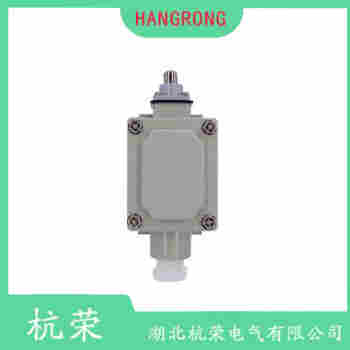 WLG2-LD 叉形擺臂型行程開關(guān)測定意義